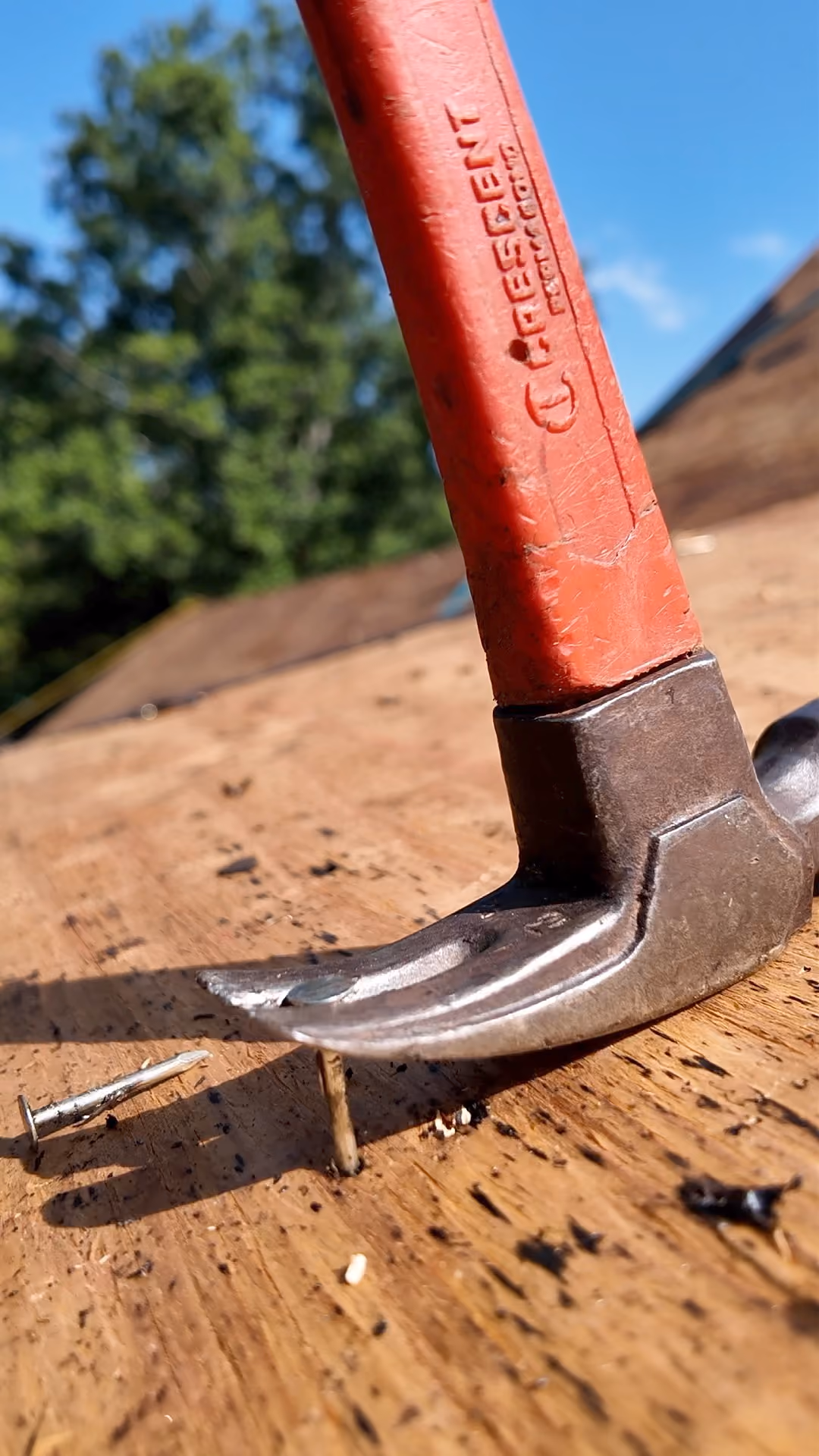 Pulling old nails out of roof decking before standing seam installation