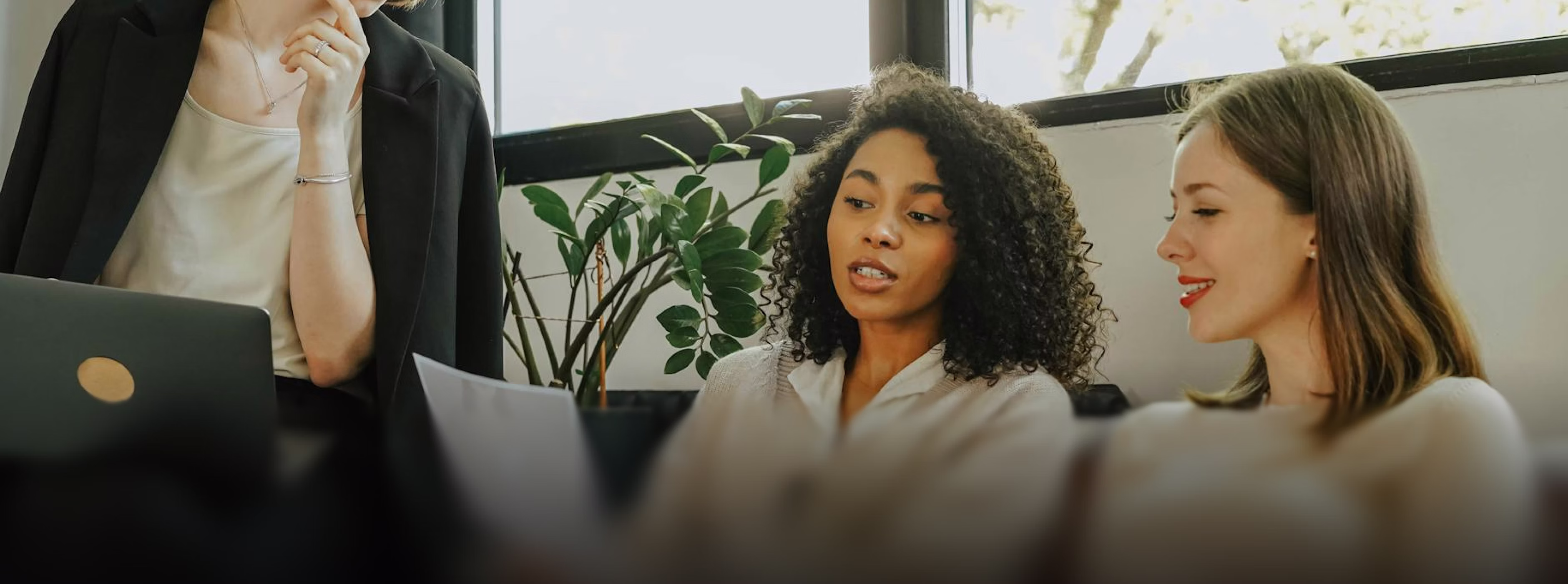 Alezon-about-banner-image