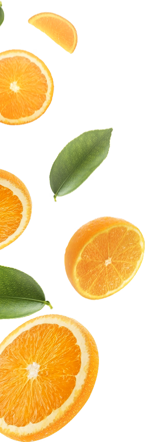 Orange slices with leaves