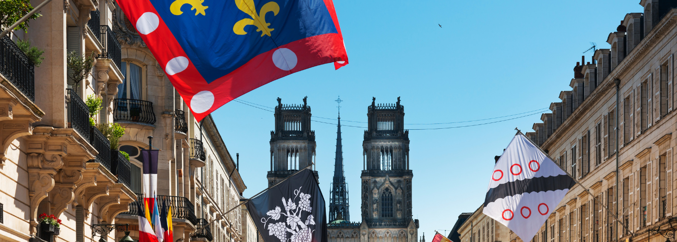 Conseil et courtage en énergie à Orléans