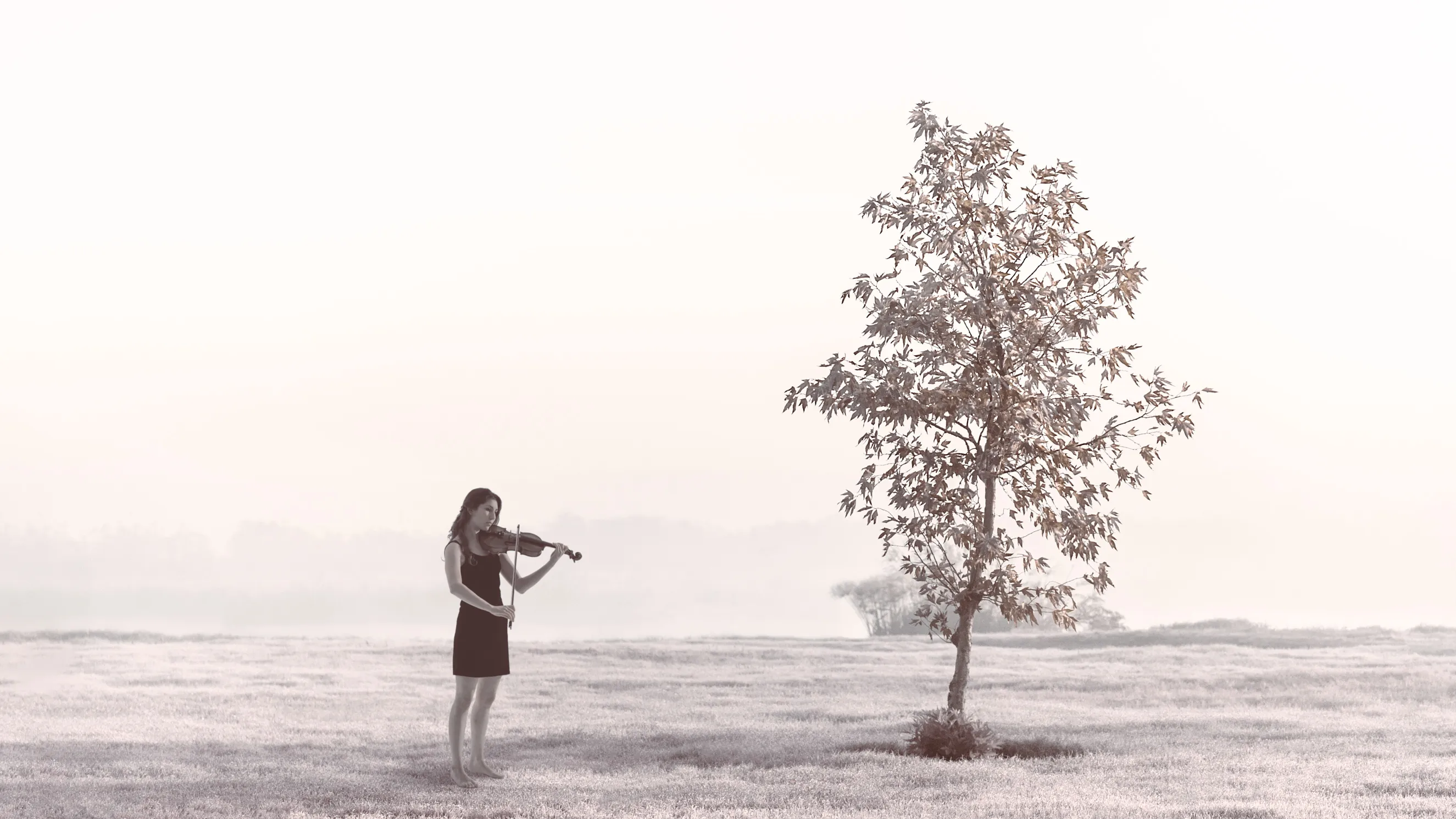 צילום מוזיקאים לתיק עבודות מקצועי של כנרת מאירופה בסטודיו בצילום מורכב, ברגע אינטימי של נגינה המשרה רוגע והשראה.