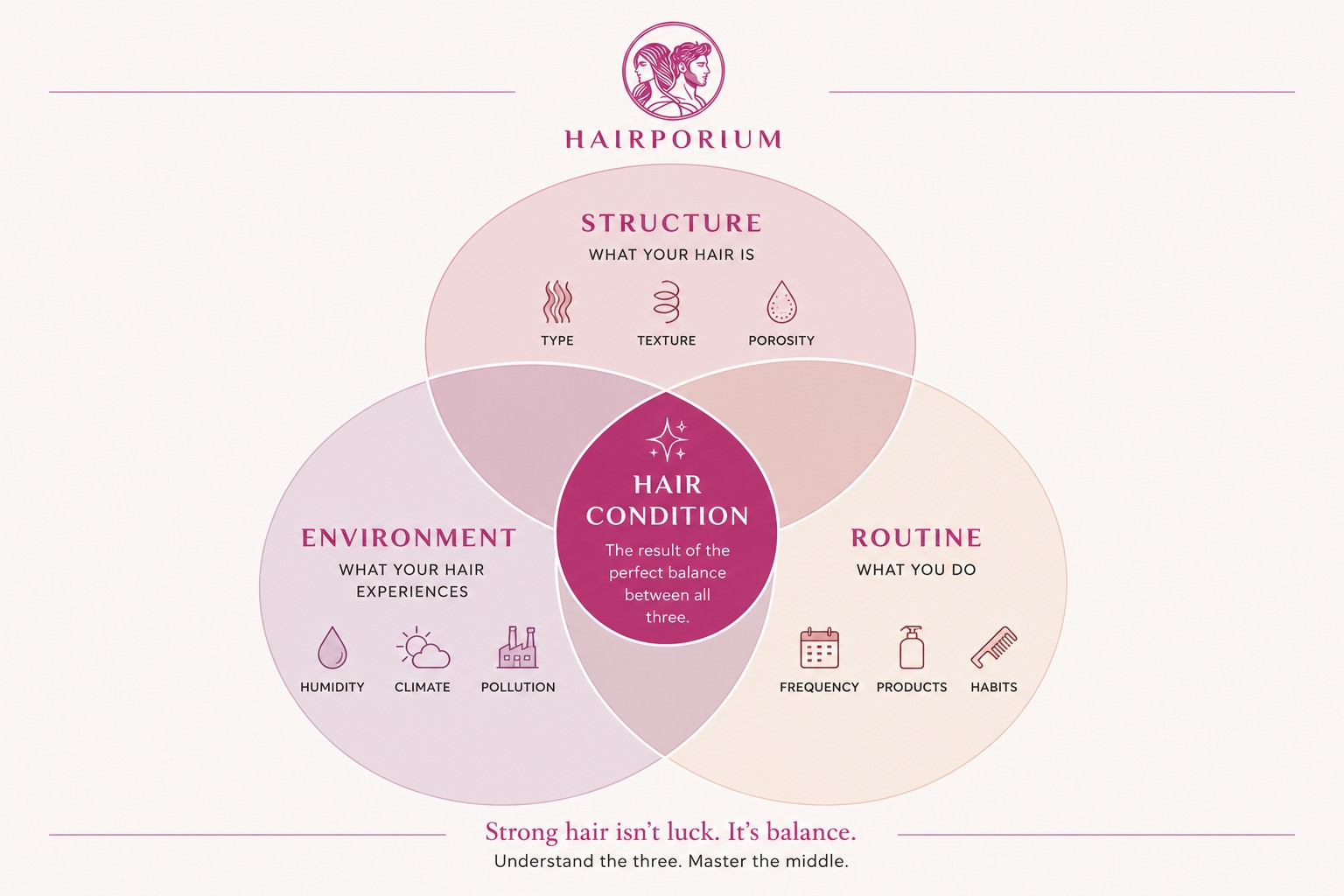 Hair structure, environment, and routine — three interacting factors that determine your hair's behavior.