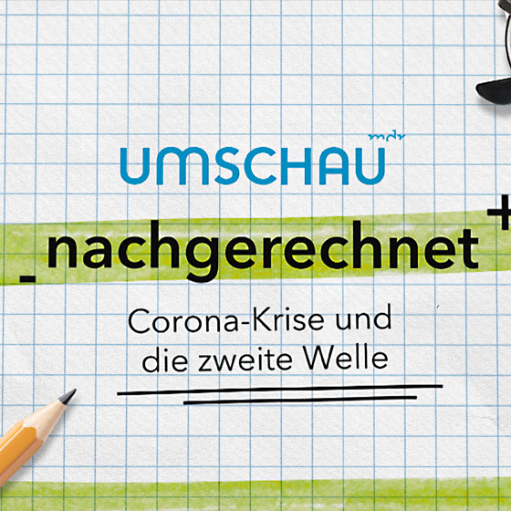 mdr Umschau nachgerechnet Grafikdesign - Motion Design Freelancer Leipzig