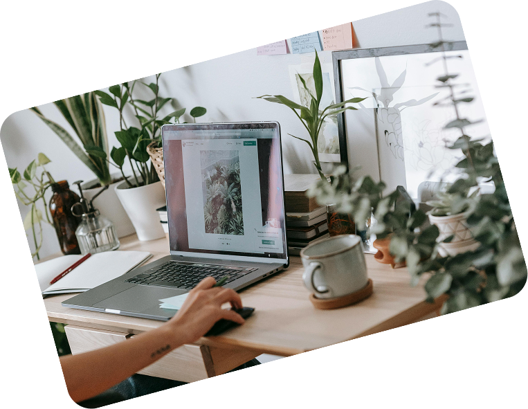 Person working on a laptop at a wooden desk surrounded by green potted plants and a ceramic mug.