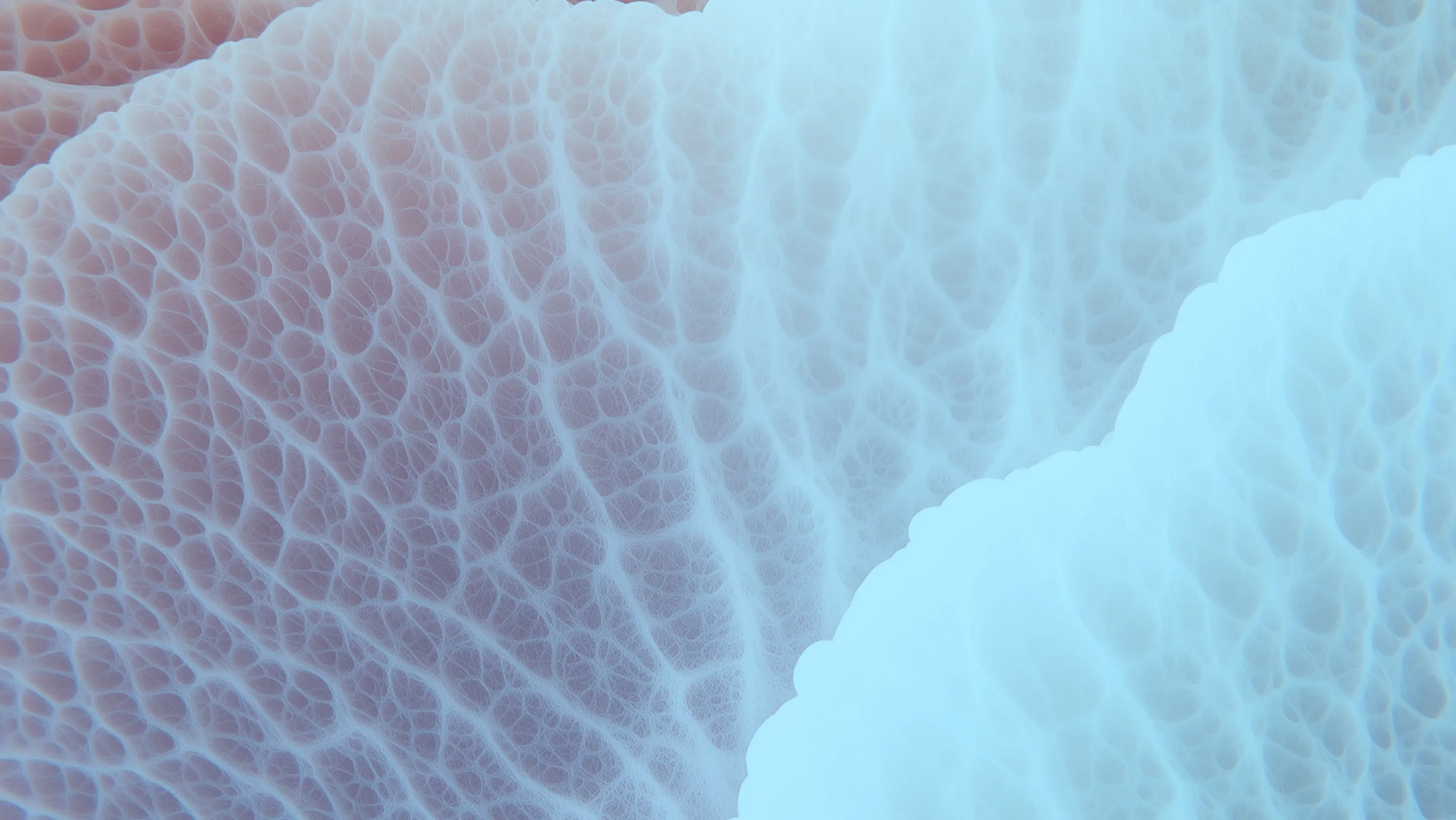 Close-up view of a translucent textured surface with network-like patterns in pale blue and purple hues.