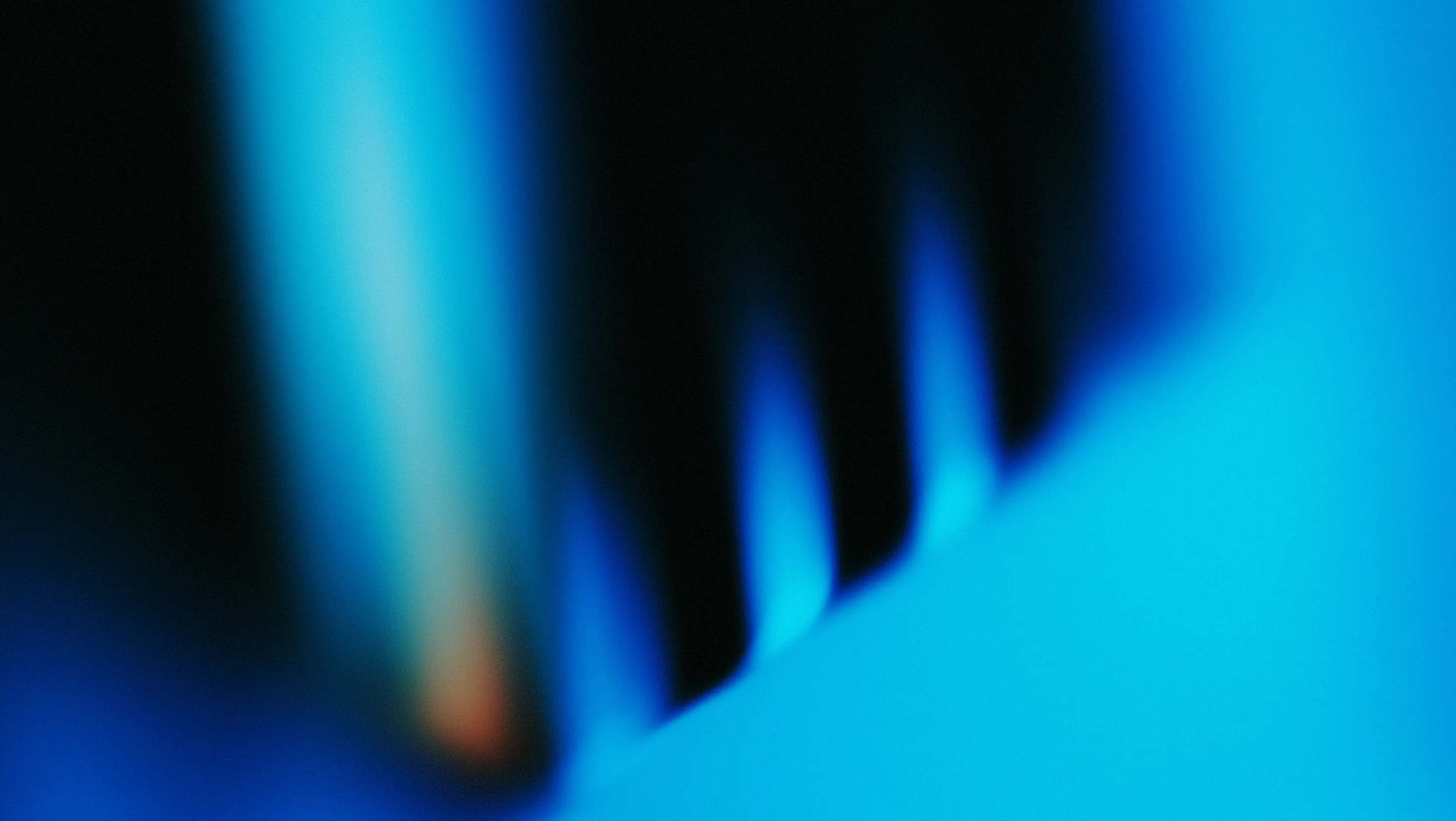 Close-up of blue gas flames burning on a stove burner.