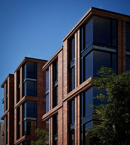Portrait of a young woman with curly hair, large hoop earrings, and golden brown eyes looking directly at the camera with her hand near her face.