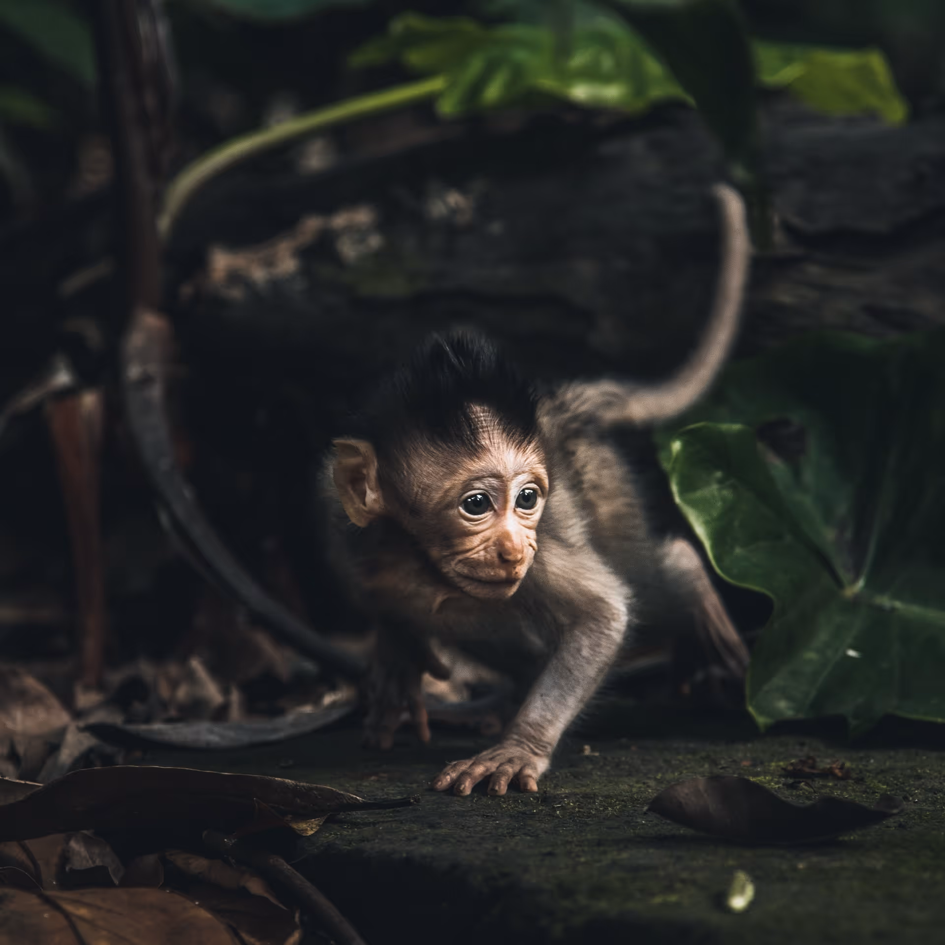 Blog post hero image