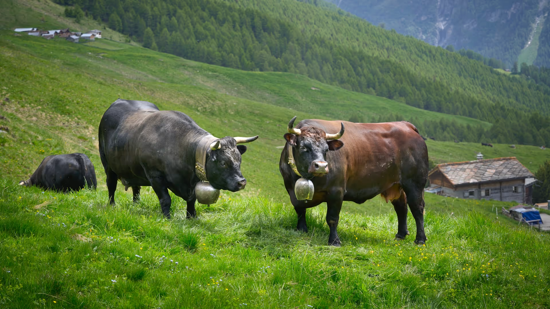 Blog post hero image