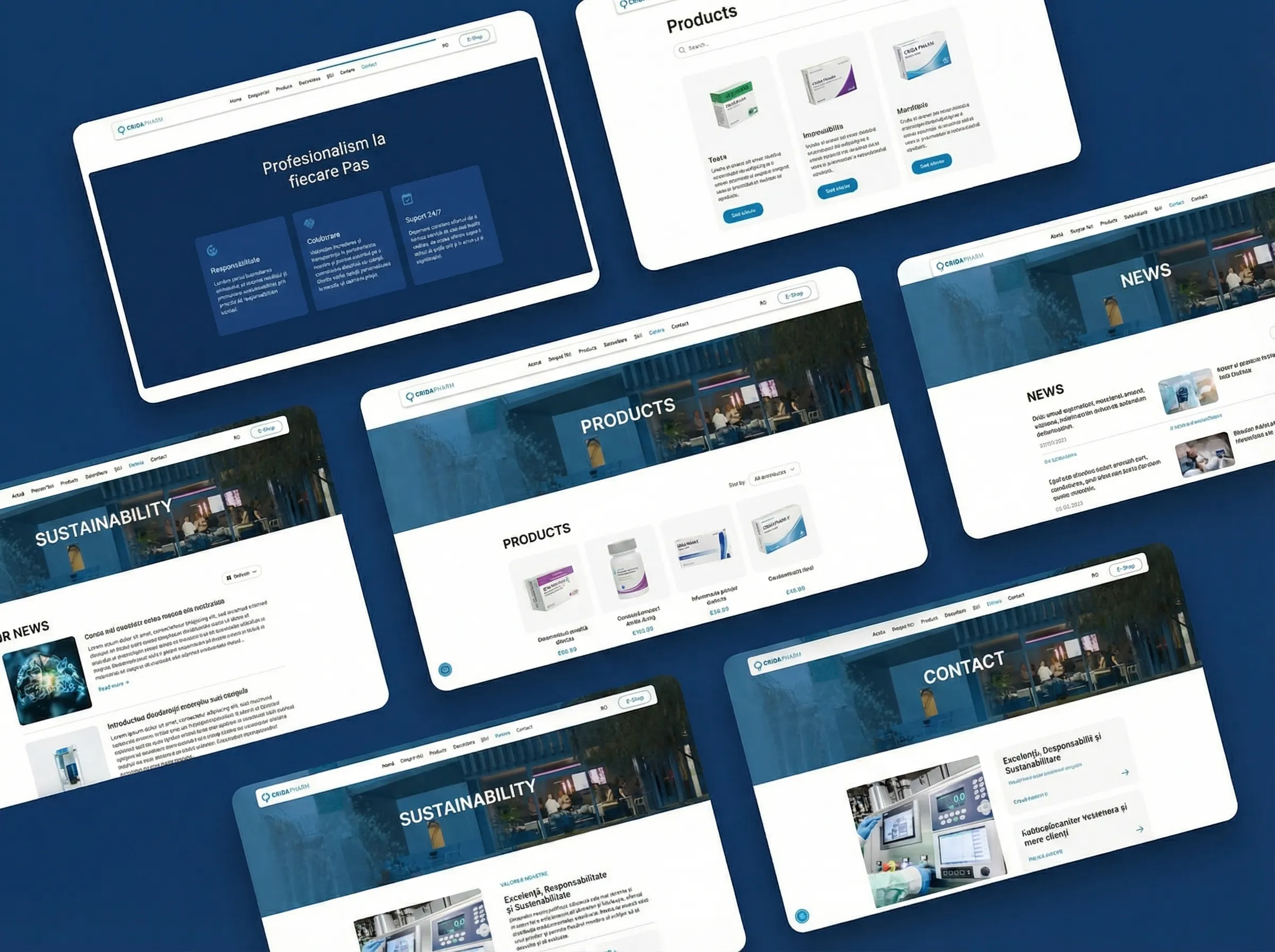 Project Details Image