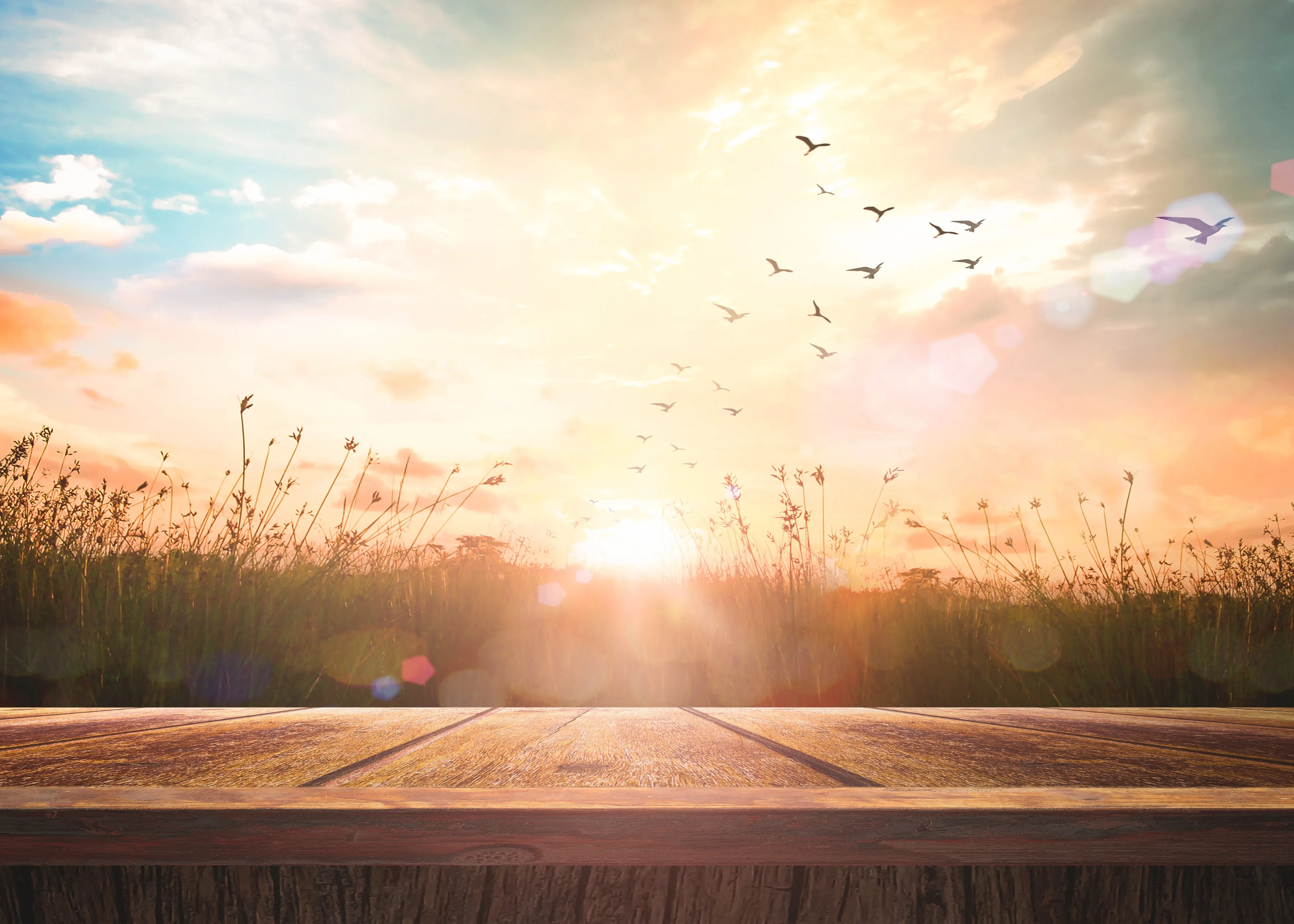 A background of the sun and flowers