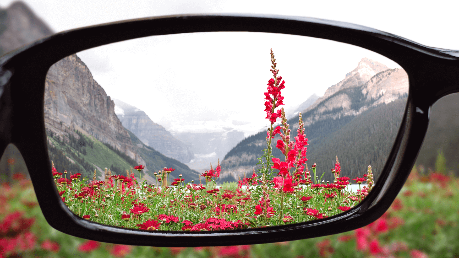 A left-eye view of an eyeglass while looking at the flowers and mountains