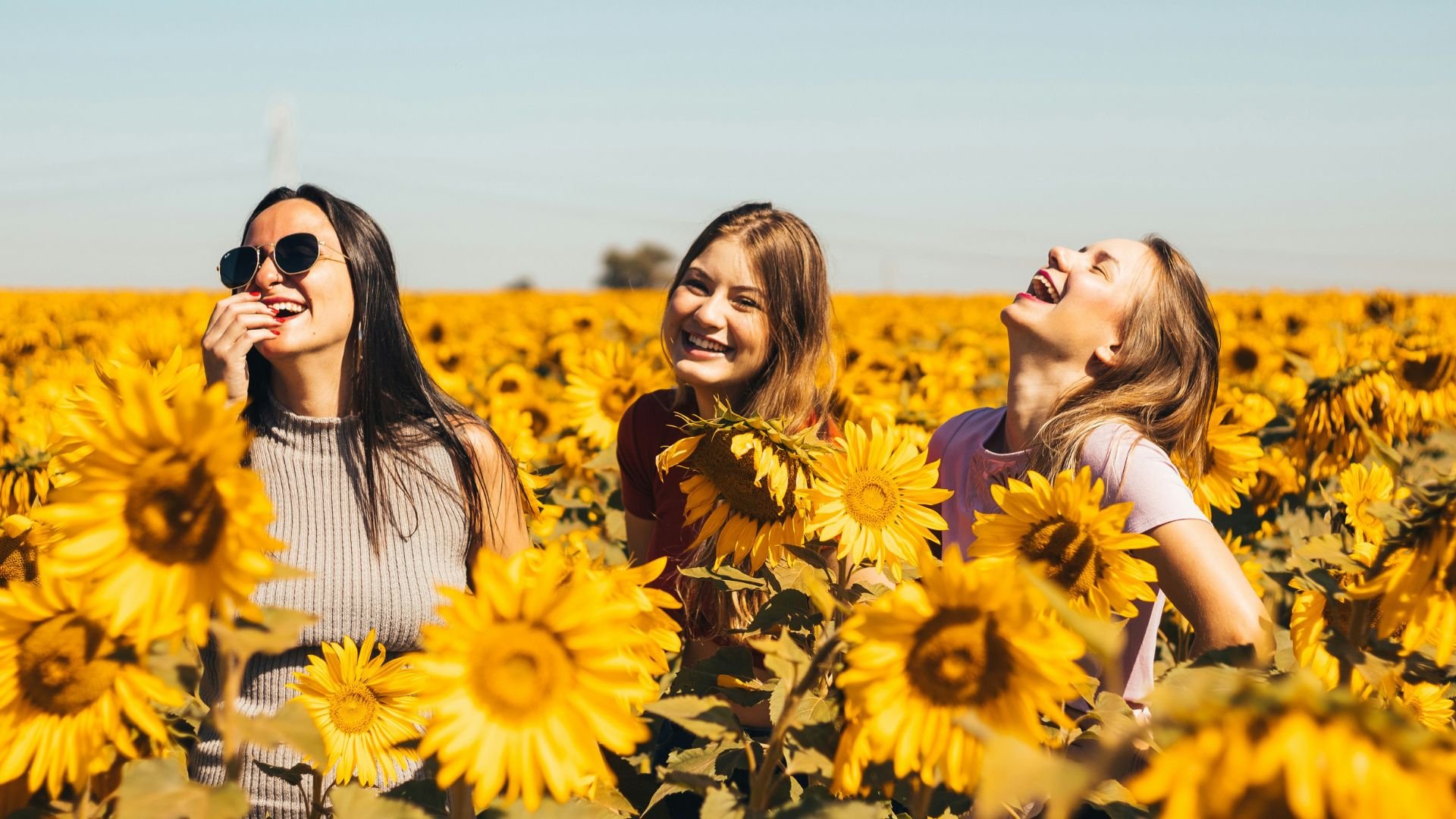 A group of 3 women laughing while on the sunflower field