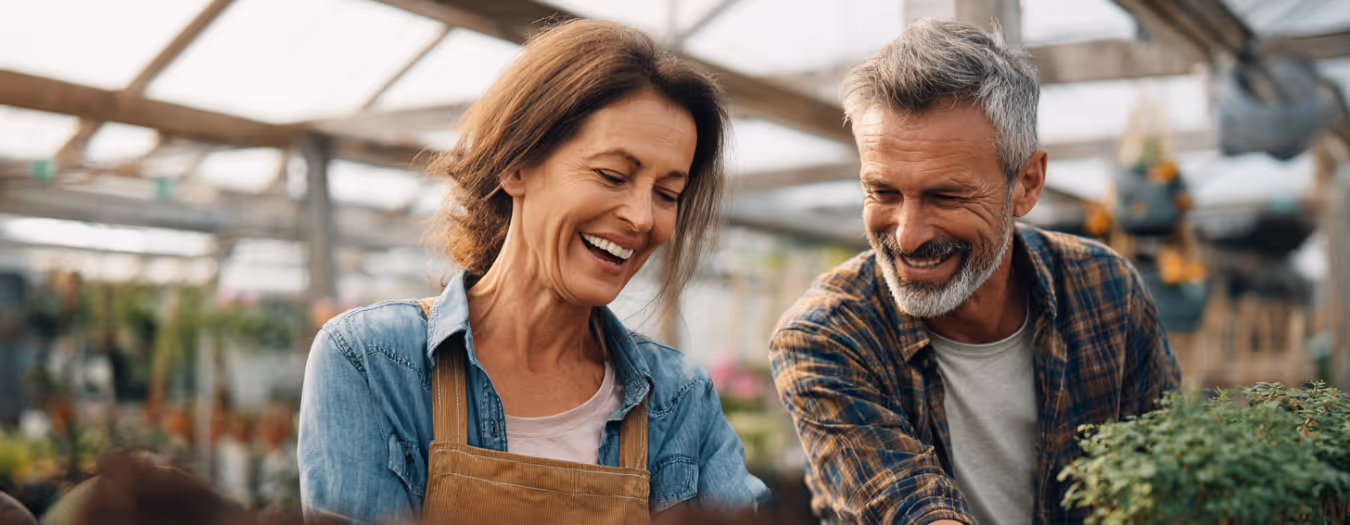 Smiling middle-aged couple gardening together in a greenhouse with plants.