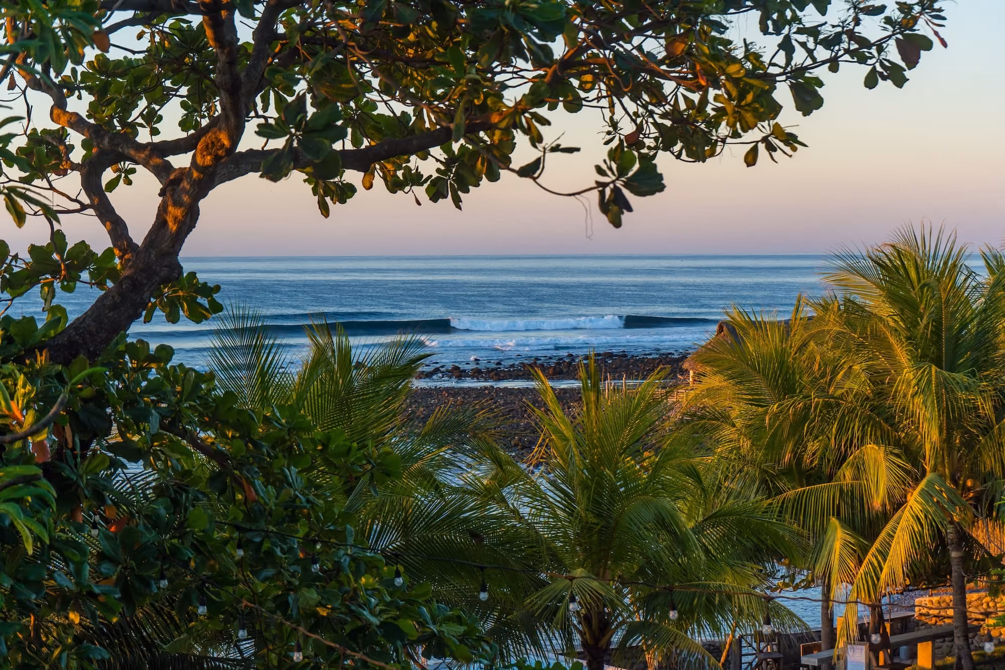 The ocean at El Zonte seen through the trees at sunset