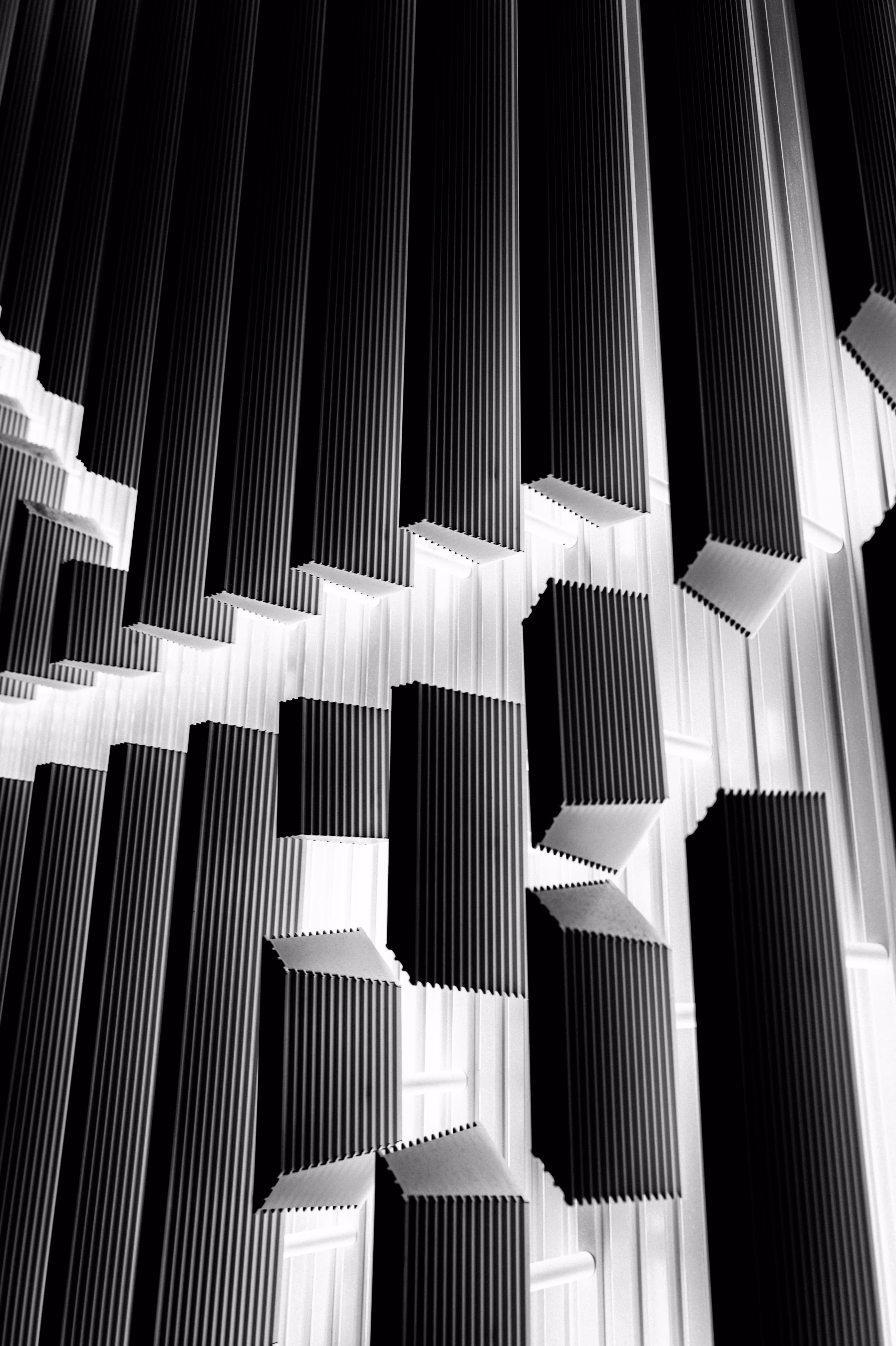 Accelerating Exits: The Digital Growth Framework for 3–5 Year Holds