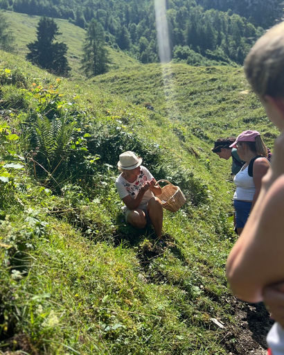 Person wearing a hat sitting on grass with a basket, surrounded by others observing on a sunny hillside.