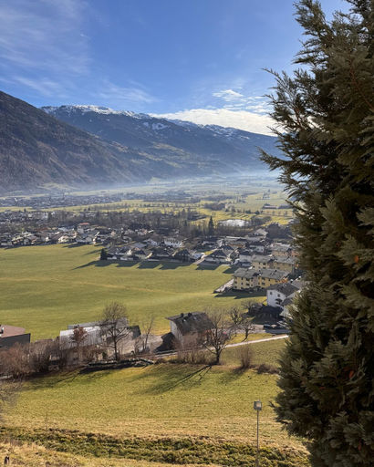 Sunny valley with houses, green fields, a tree in the foreground, and snow-capped mountains under a blue sky.