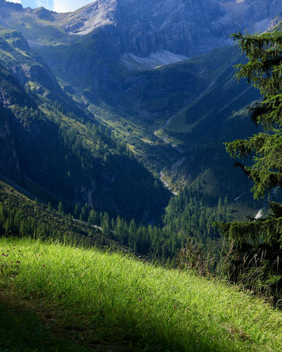 Sunlit green grassy hillside overlooking a forested mountain valley with steep rocky cliffs in the background.