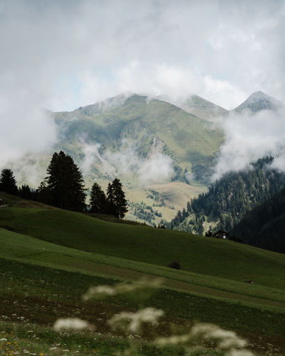 Green rolling hills with scattered trees in the foreground and mist-covered mountains in the background under a cloudy sky.