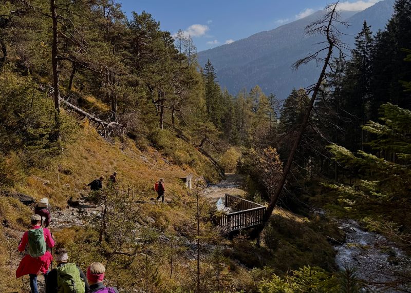 Bergmomente Retreat im Wienerhof Trins – Yogaraum mit Bergpanorama