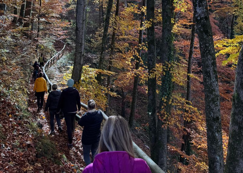 Yoga Retreat in Ebbs am Kaisertal – Entspannung in der Natur