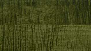 Curly Maple HD-2817-20