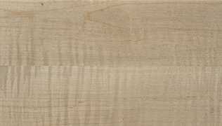 Curly Maple HD-2988-20
