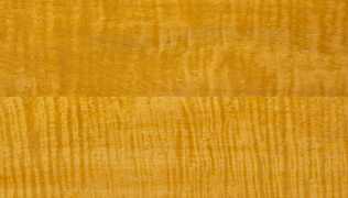 Curly Maple HD-2864-20