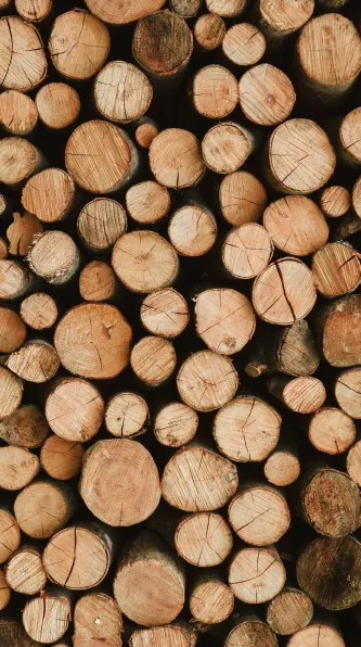 ends of multiple logs of wood