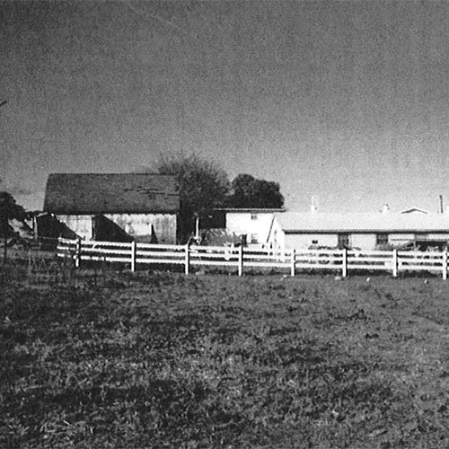 homestead timeline 1990