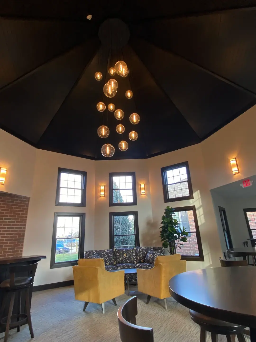 janet strings of lights from ceiling