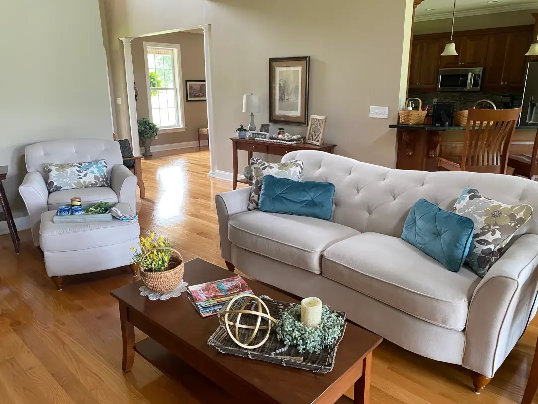 debra living room couches