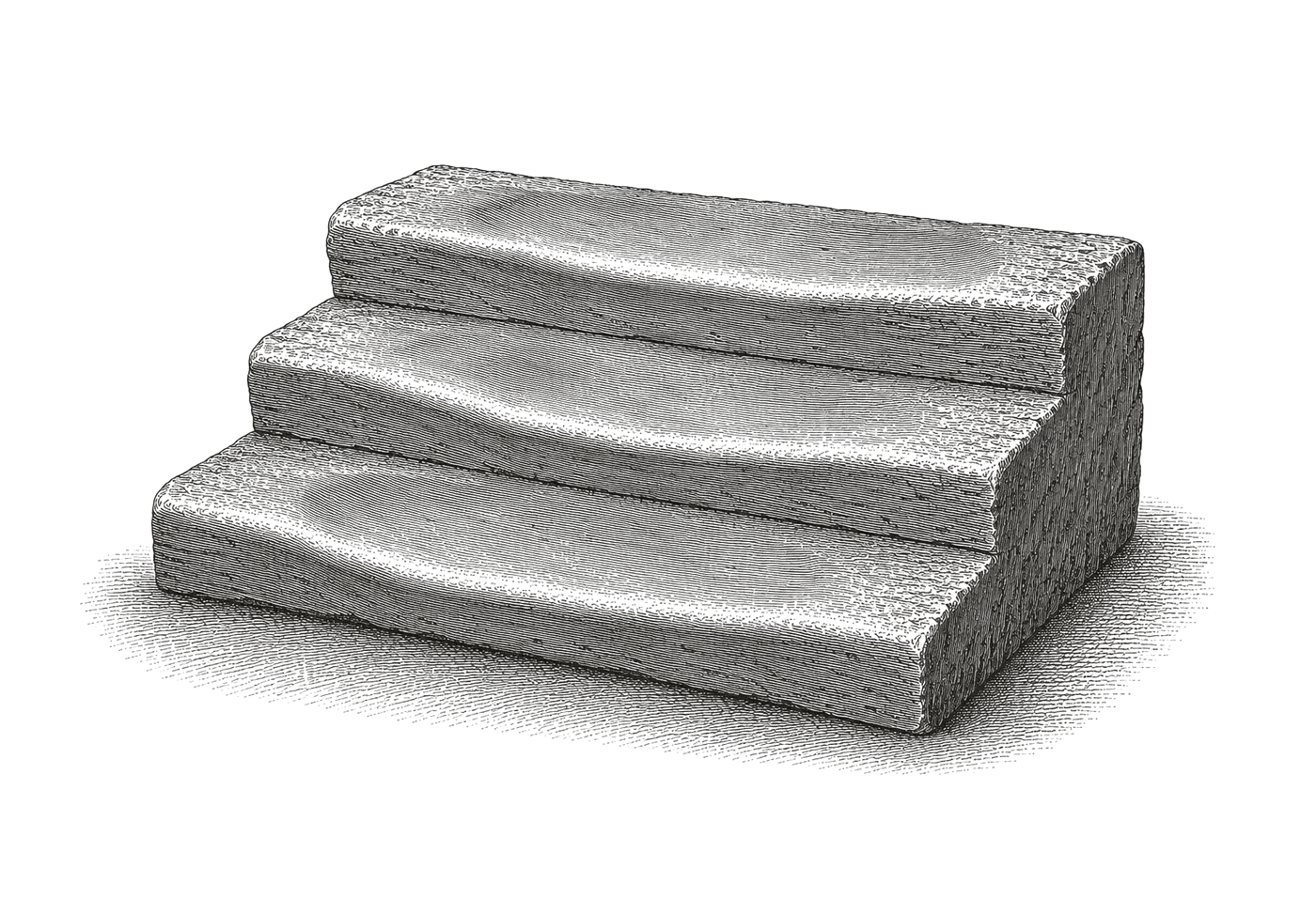 A short flight of three stone steps, each tread worn into a shallow hollow by a century of footfall, the chisel tooling surviving only at the ends where nobody stepped — steel engraving