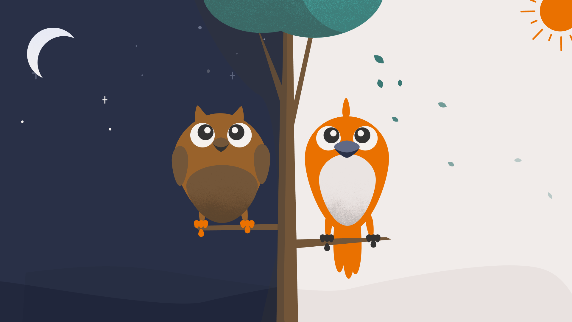 What is a chronotype?