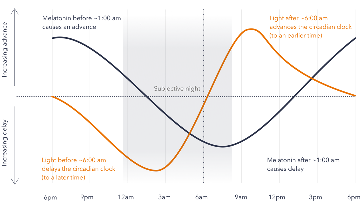 Light and melatonin phase response curves