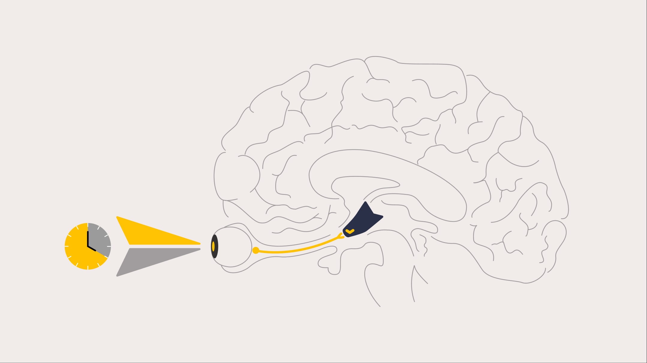 The science of jet lag