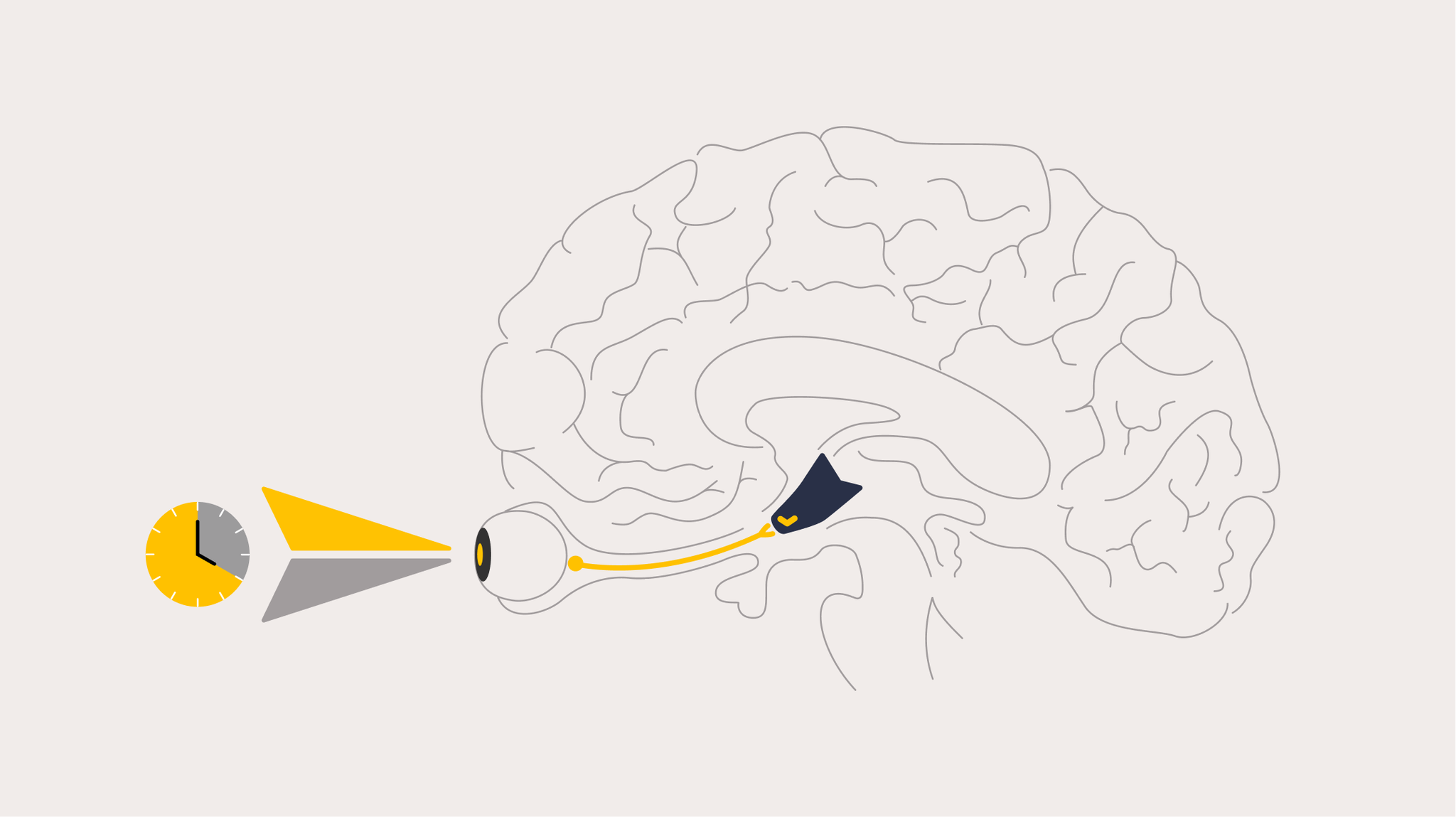 The science of jet lag