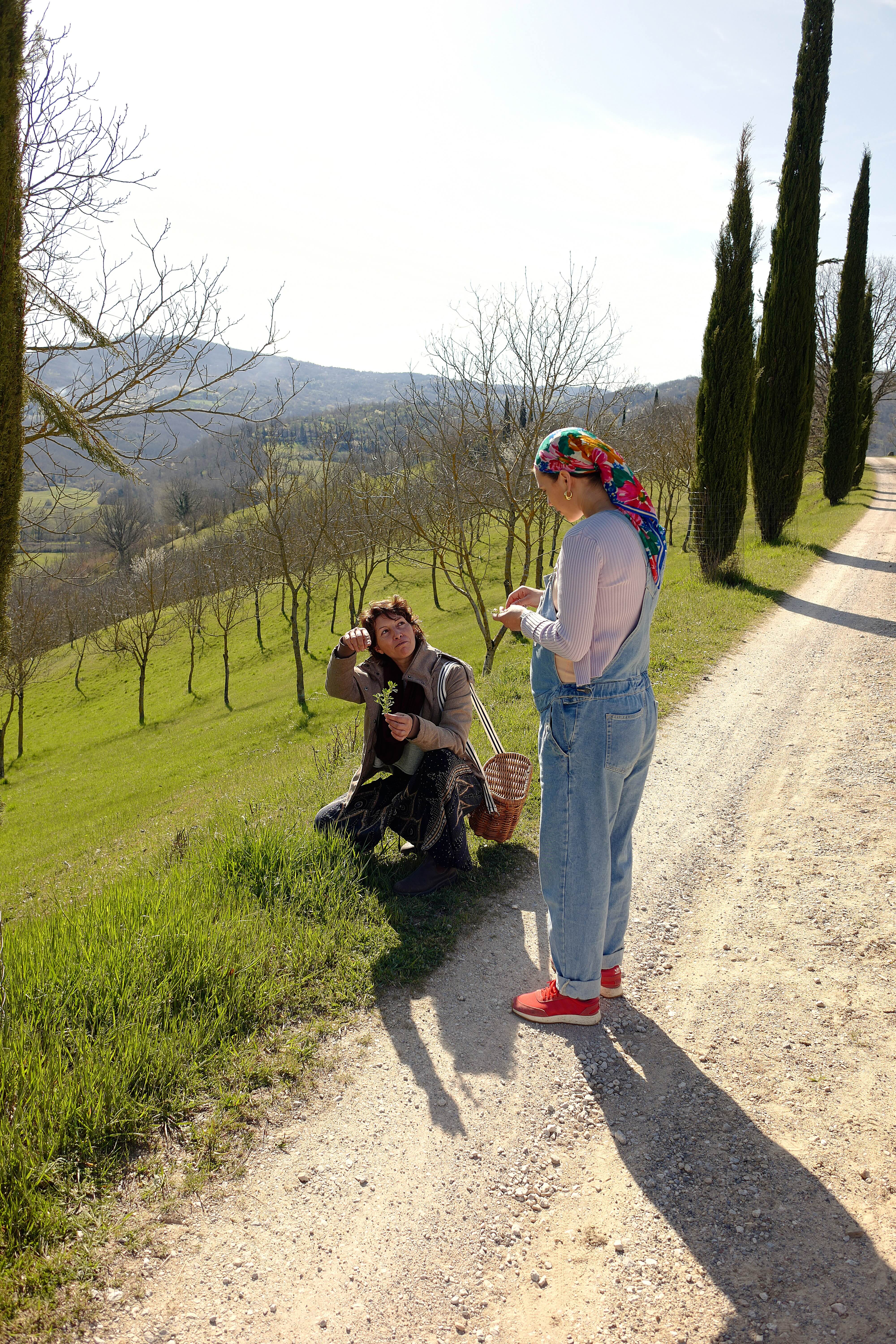 Herb foraging on the estate