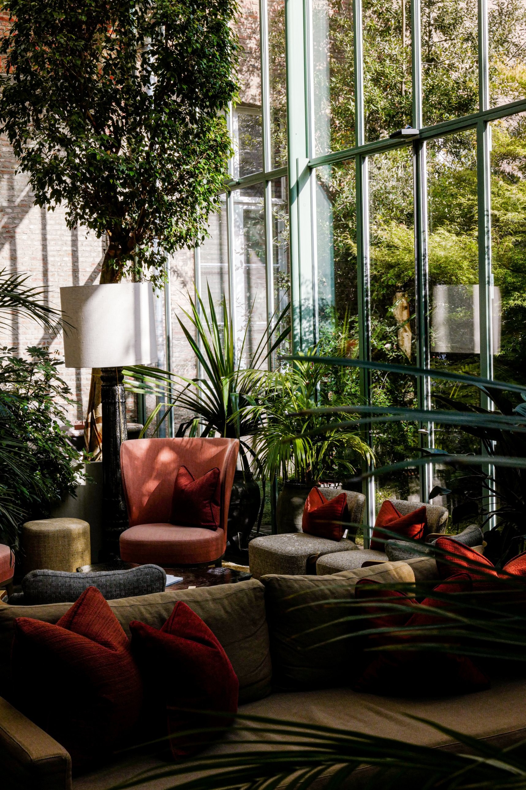 The glass-roofed lounge at Botanic Sanctuary, with plants, a lamp and low sofas