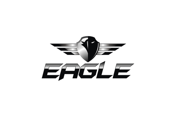 Stylized eagle head silhouette split in black and silver on a shield with three horizontal wing bars on each side above the word EAGLE in bold, angular metallic font.