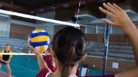 Volleyball Development Academy
