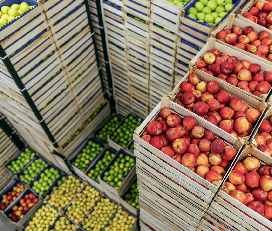 Gestapelte Kisten mit bunten Äpfeln.