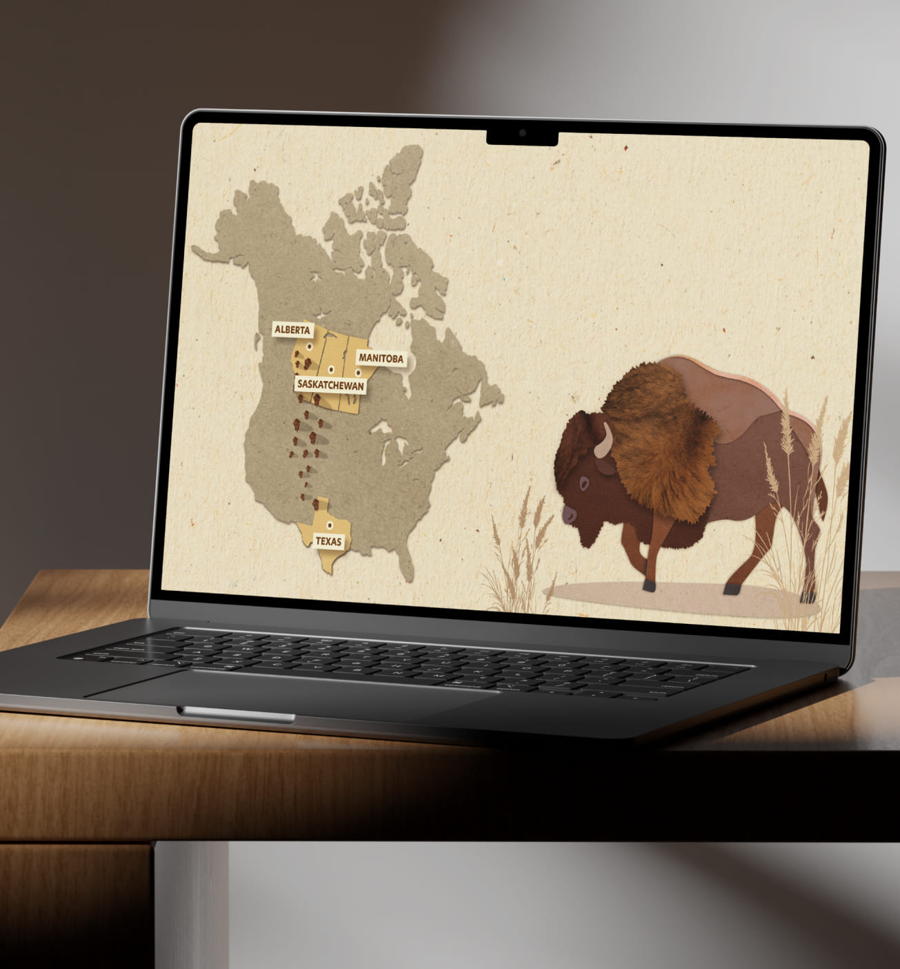 Laptop on a desk displaying an illustrated map of North America highlighting Alberta, Saskatchewan, Manitoba, and Texas, alongside a large bison on a textured paper-style background.