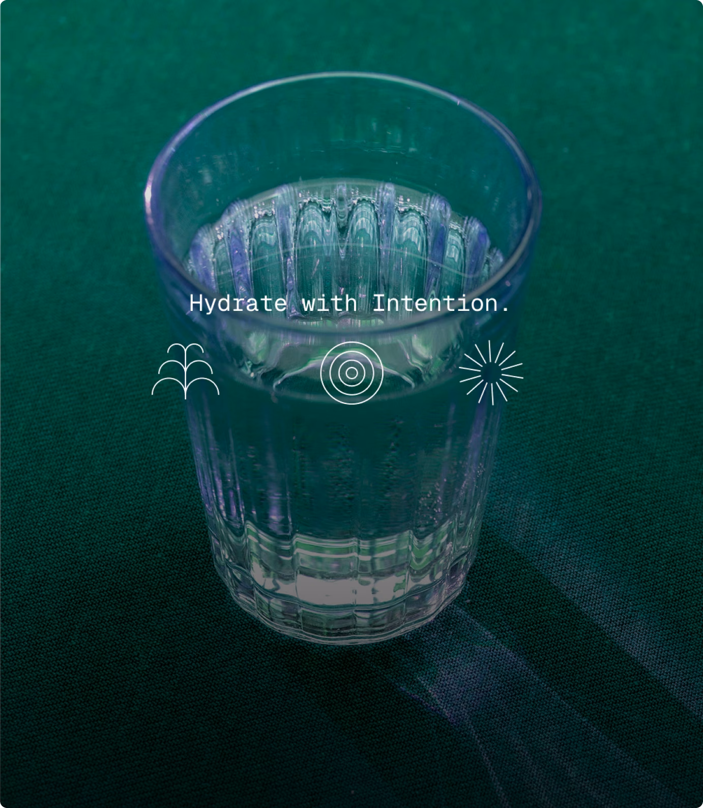 Un vaso de agua sobre fondo verde profundo con la frase “Hydrate with Intention” y tres íconos de Sip