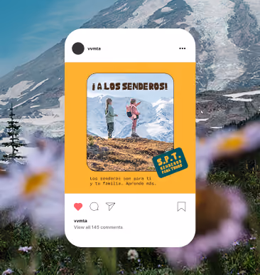Publicación de Instagram — '¡A los senderos!' en un campo de flores