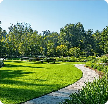 Curved stone pathway through a green park with picnic tables and trees under a clear blue sky.