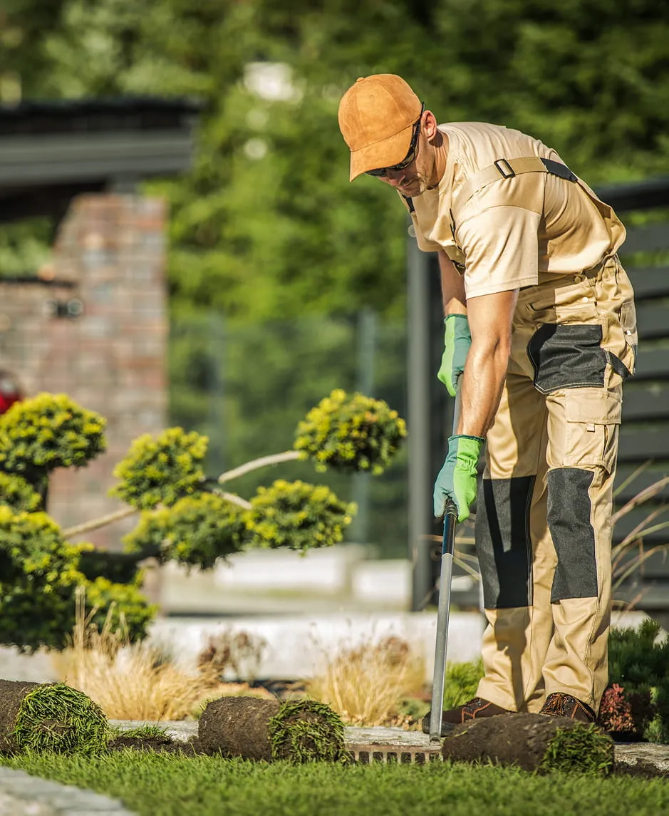 Gardener in tan workwear and green gloves using a tool while preparing a lawn area with rolled sod pieces.