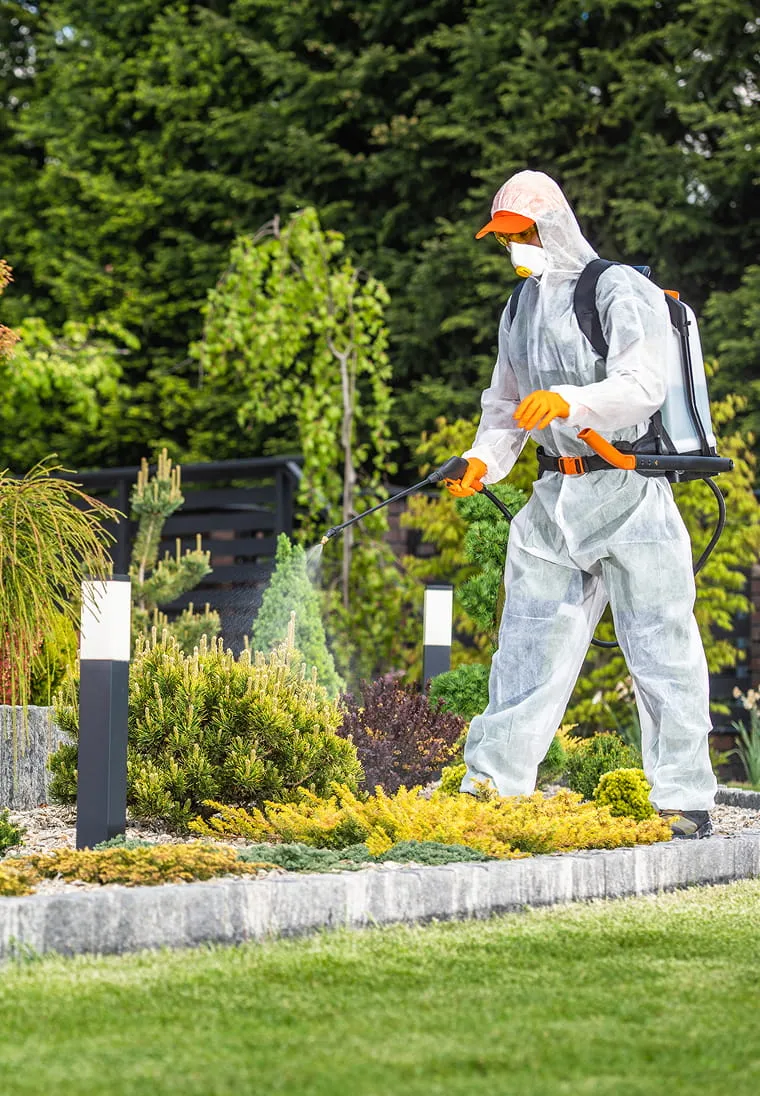 Person in protective suit spraying plants with pesticide in a garden.