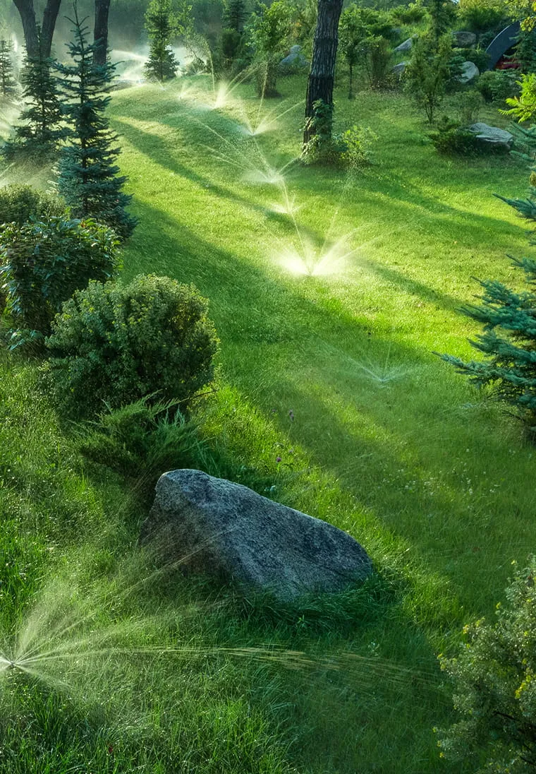 Sprinklers watering a green lawn surrounded by bushes, trees, and a large rock.